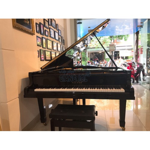Bán Đàn Piano Grand Victor VG500 || Shop Nhạc Cụ Giáng Sol quận 12